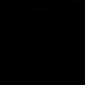 Meet your Posher, Ava